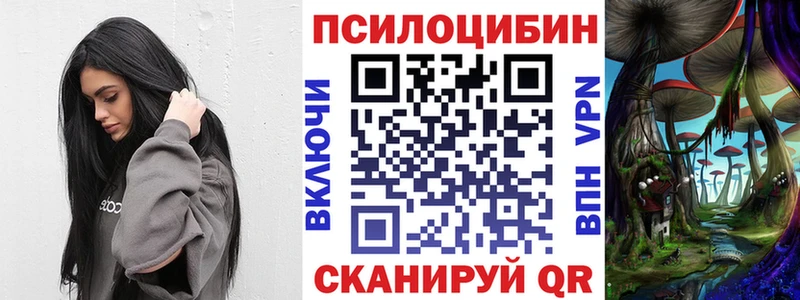 Галлюциногенные грибы мухоморы  магазин  наркотиков  Саров 